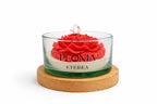 Vela Peonia Roja ETEREA